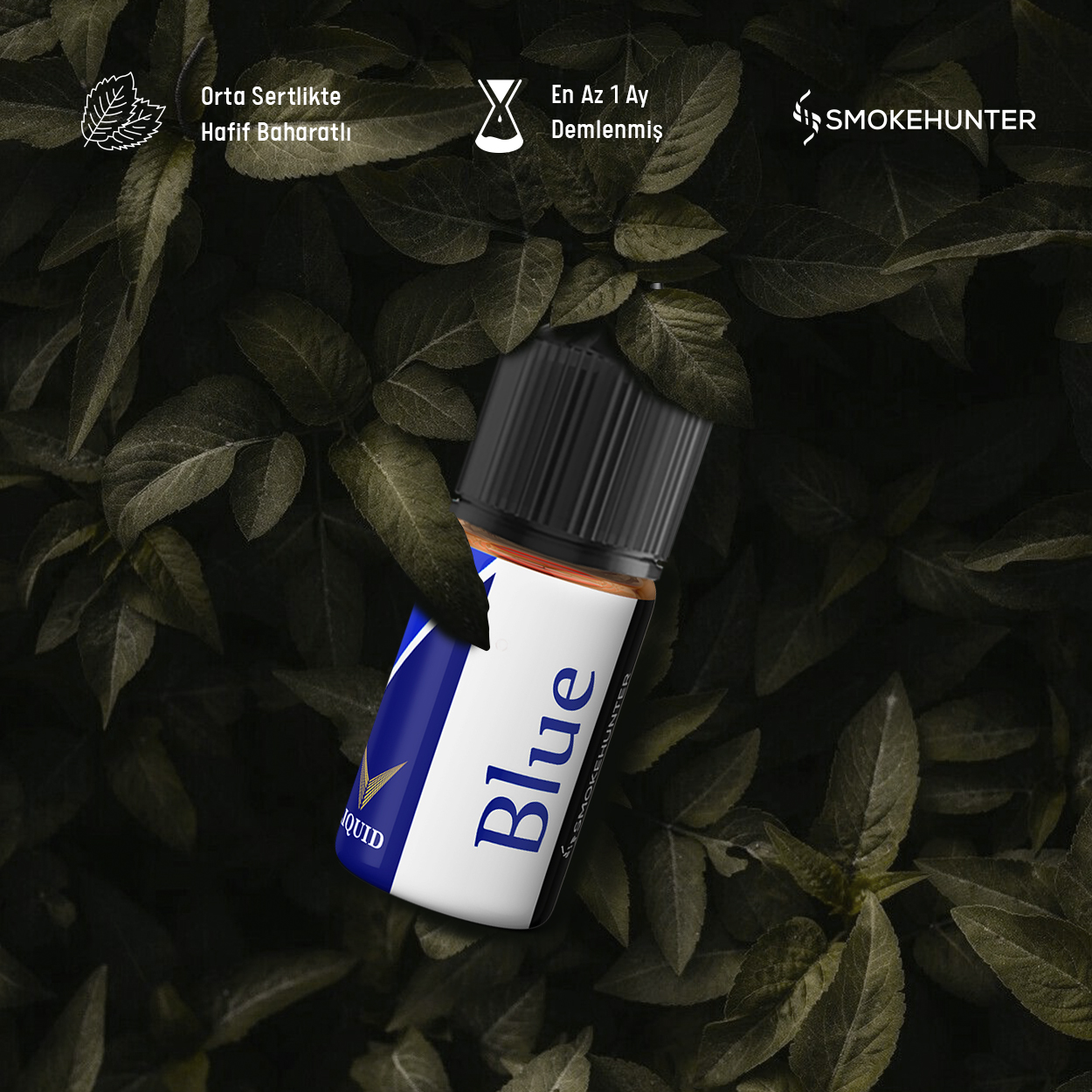 P. Blue E-Likit P. Blue E-Likit