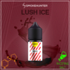 Vozol Likit Lush Ice - SALT