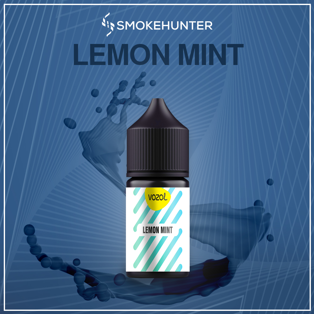 vozol lemon mint r1
